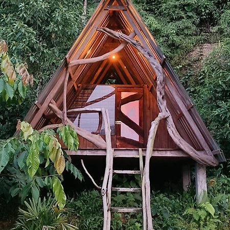 ホテル Jungle Roots テナ エクステリア 写真