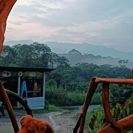 ホテル Jungle Roots テナ エクステリア 写真
