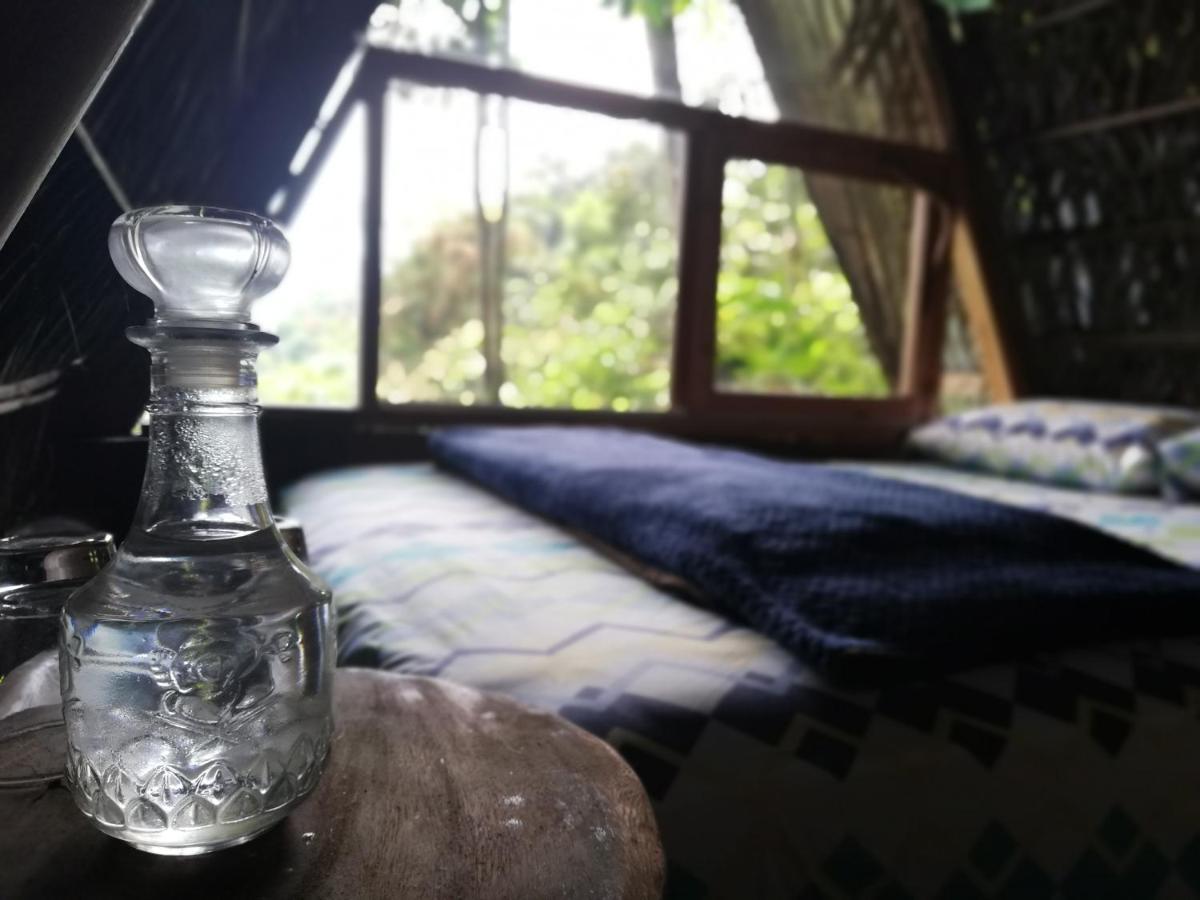 ホテル Jungle Roots テナ エクステリア 写真