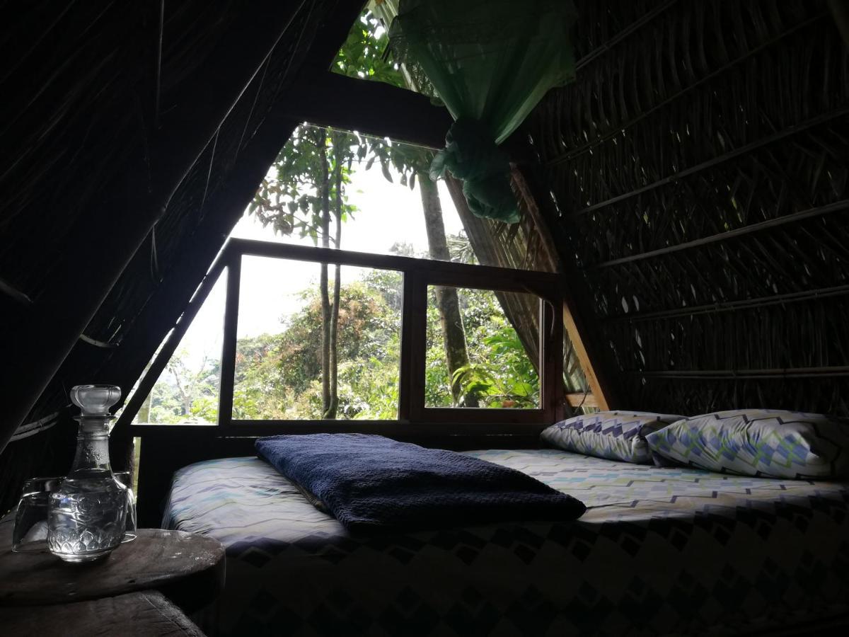 ホテル Jungle Roots テナ エクステリア 写真