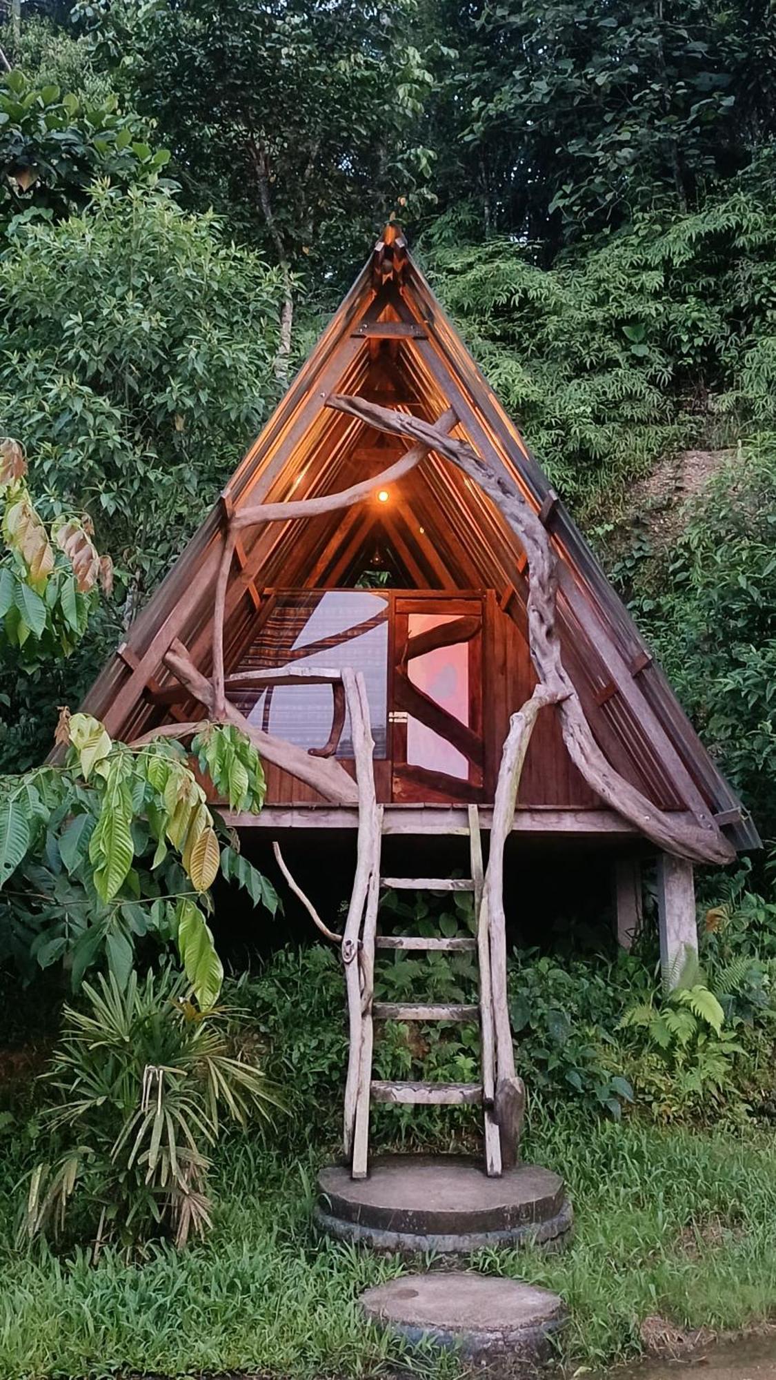 ホテル Jungle Roots テナ エクステリア 写真