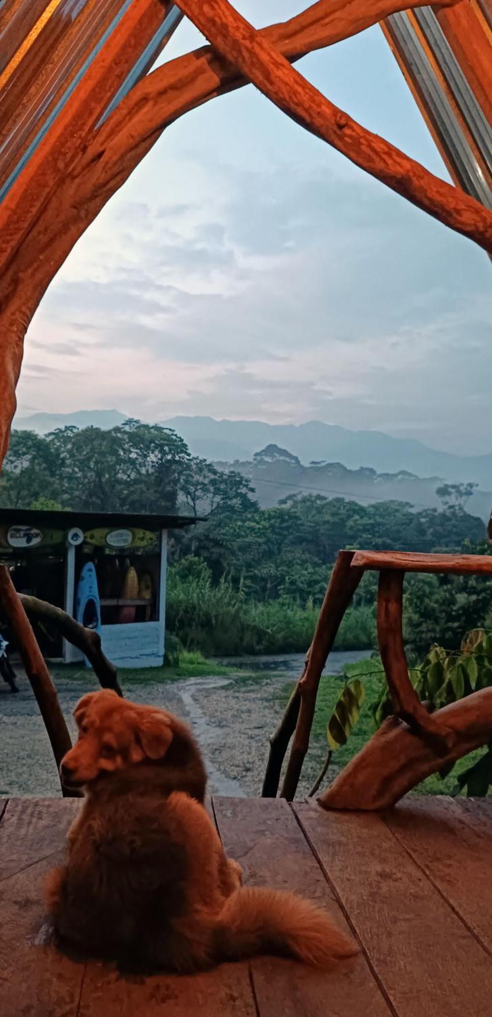 ホテル Jungle Roots テナ エクステリア 写真