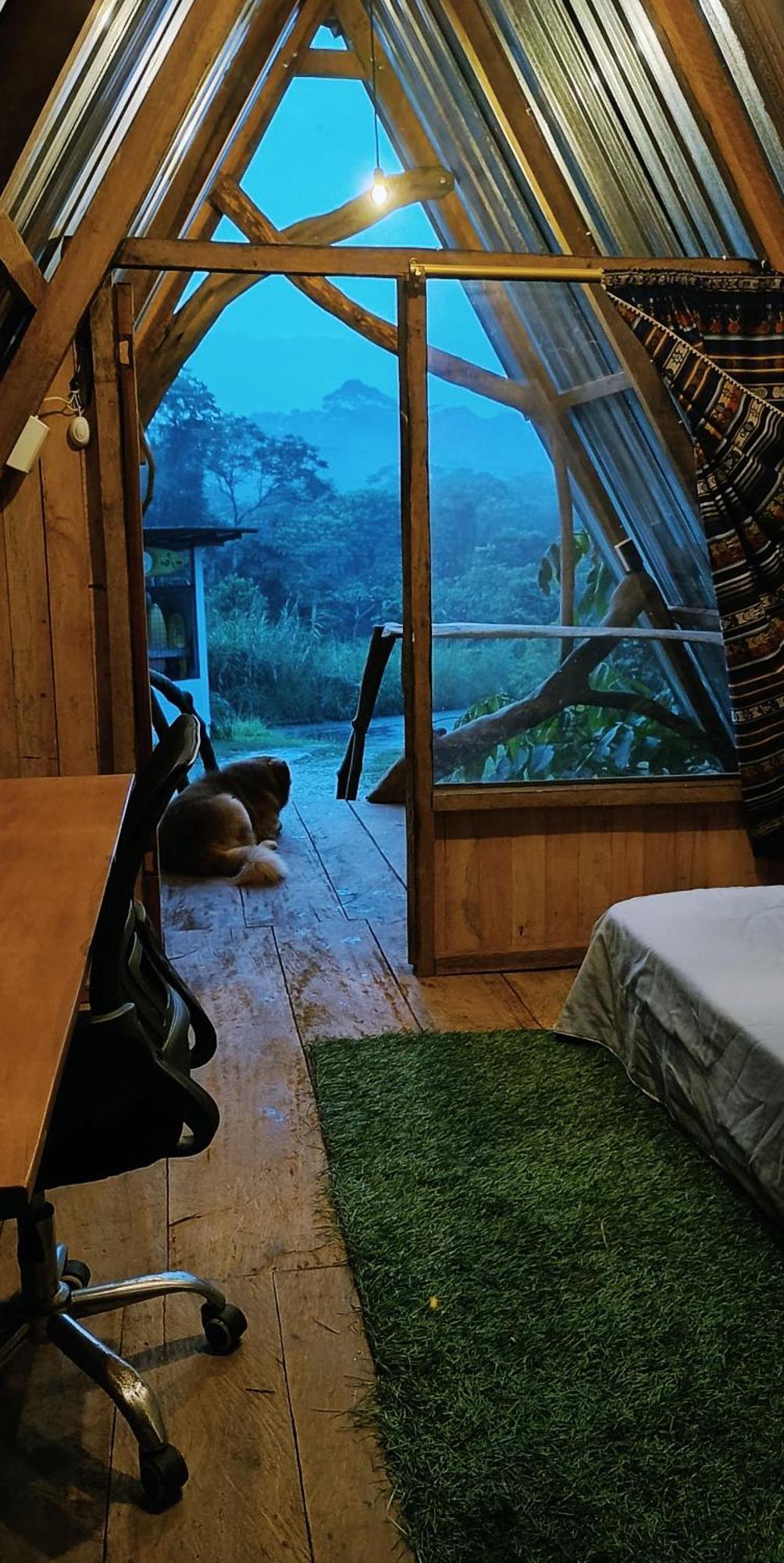ホテル Jungle Roots テナ 部屋 写真