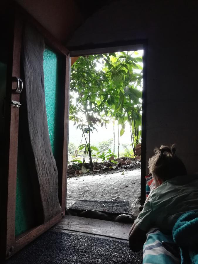 ホテル Jungle Roots テナ エクステリア 写真