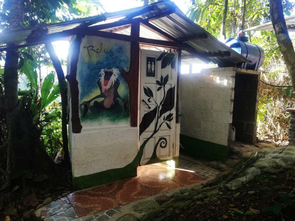 ホテル Jungle Roots テナ エクステリア 写真