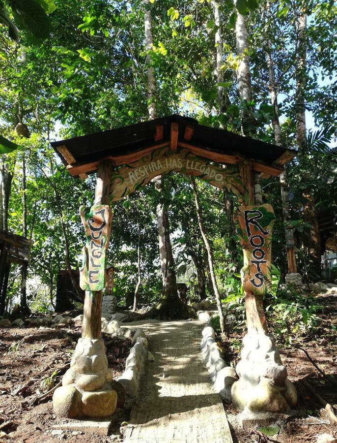 ホテル Jungle Roots テナ エクステリア 写真