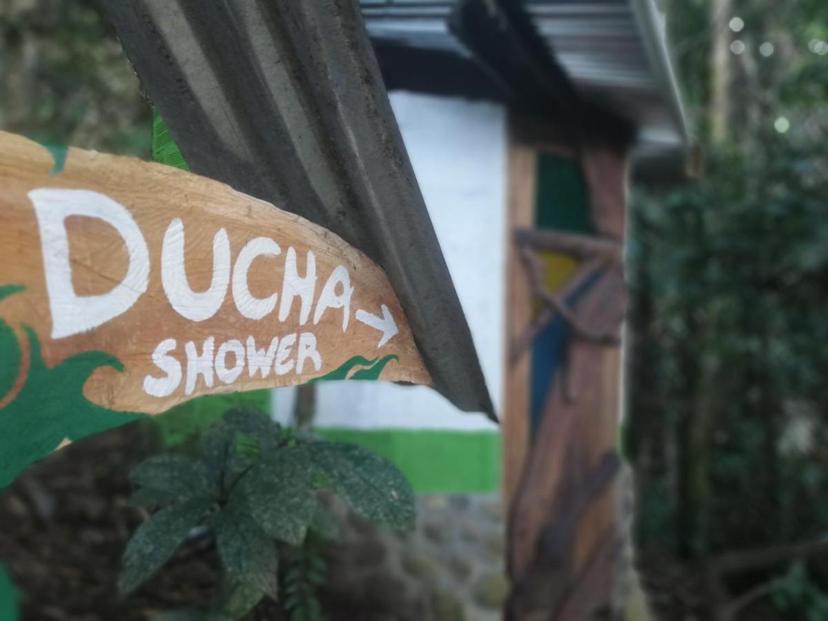 ホテル Jungle Roots テナ エクステリア 写真